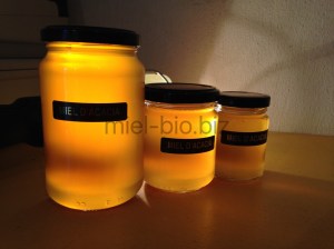 Aca3pots