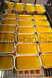 Cire d'abeilles biologique dans ses moules