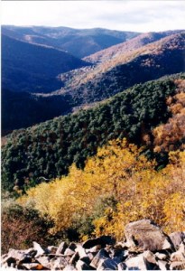 Une vallée d'Ardèche en pays Camisard