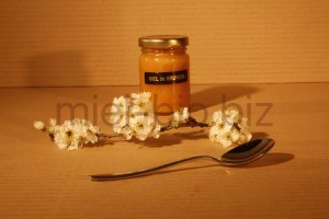 Miel de Bruyère bio pot de 125g
