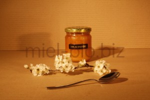 Miel de Bruyère bio pot de 250g