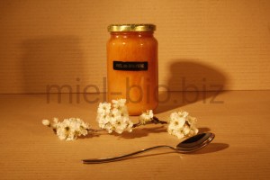 Miel de Bruyère bio pot de 500g