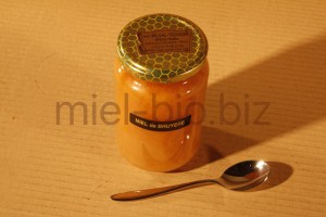 Miel de Bruyère bio pot de 500g dessus