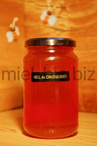 Miel de Chataignier bio pot de 500g