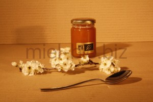 Miel de Foret bio pot de 125g de dos