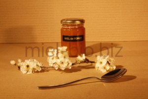 Miel de Foret bio pot de 125g