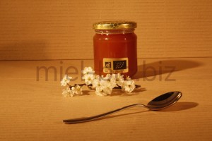 Miel de Foret bio pot de 250g de dos