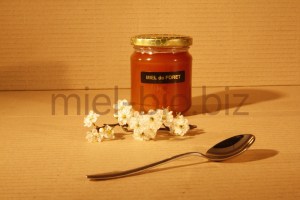 Miel de Foret bio pot de 250g