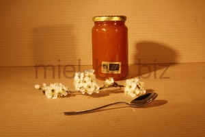 Miel de Foret bio pot de 500g de dos