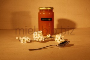 Miel de Foret bio pot de 500g