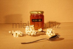 Miel de Montagne bio pot de 250g