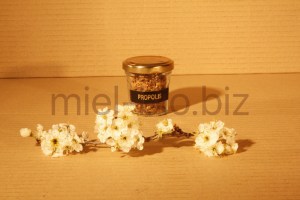 Propolis Brute Bio 10g produite en France