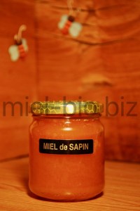 Miel de Sapin bio pot de 250g