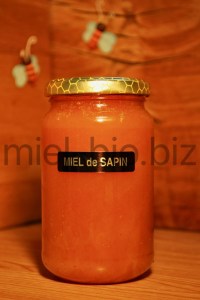 Miel de Sapin bio pot de 500g