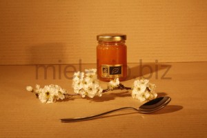 Miel de Thym bio pot de 125g de dos