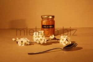 Miel de Thym bio pot de 125g