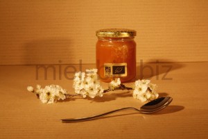 Miel de Thym bio pot de 250g de dos