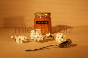 Miel de Thym bio pot de 250g