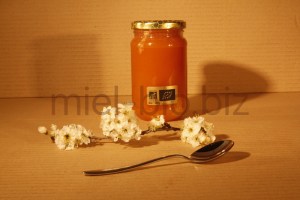Miel de Thym bio pot de 500g de dos